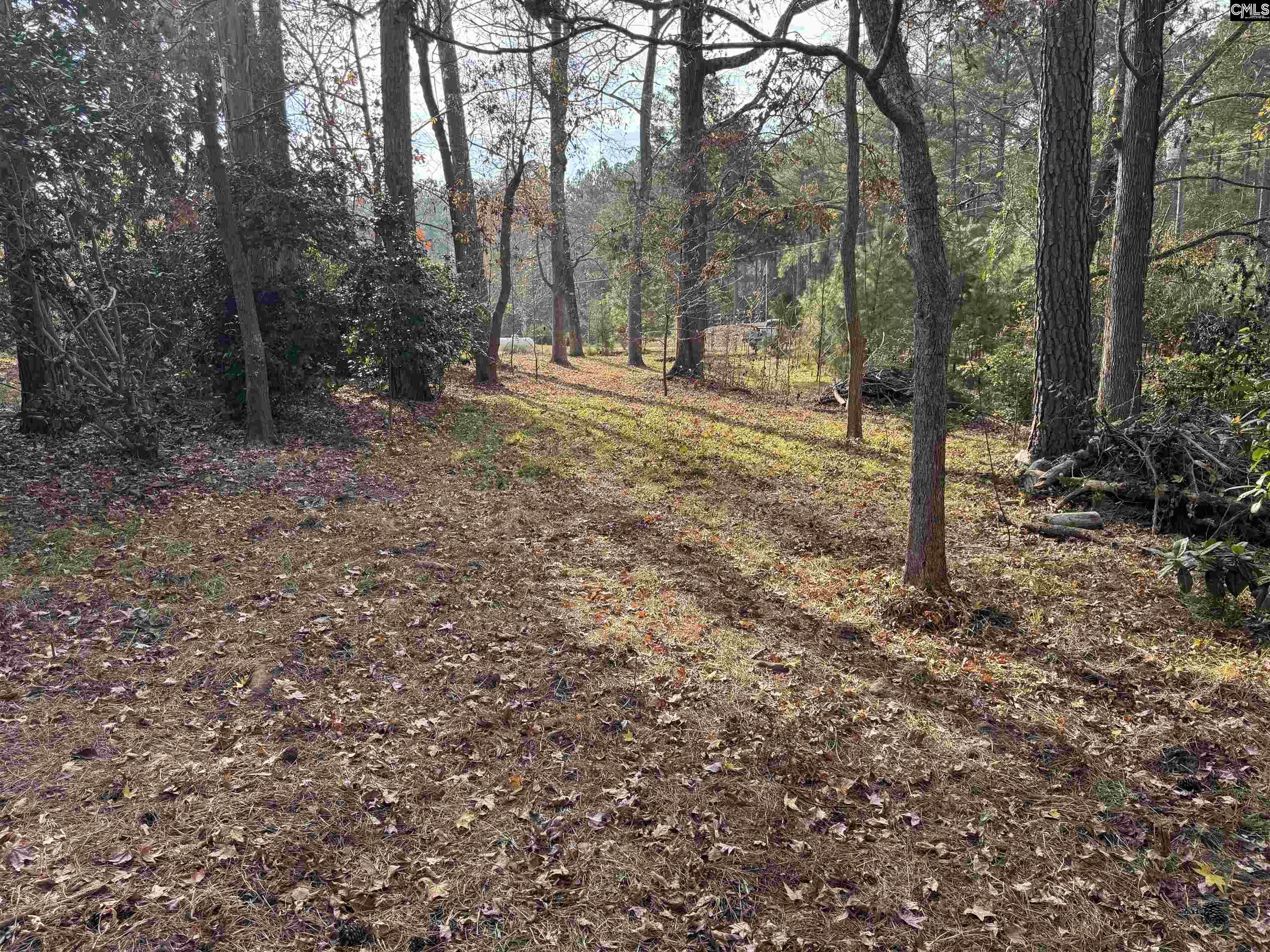 1403 Westshore Drive Ridgeway, SC 29130 - Photo 8 of 21
