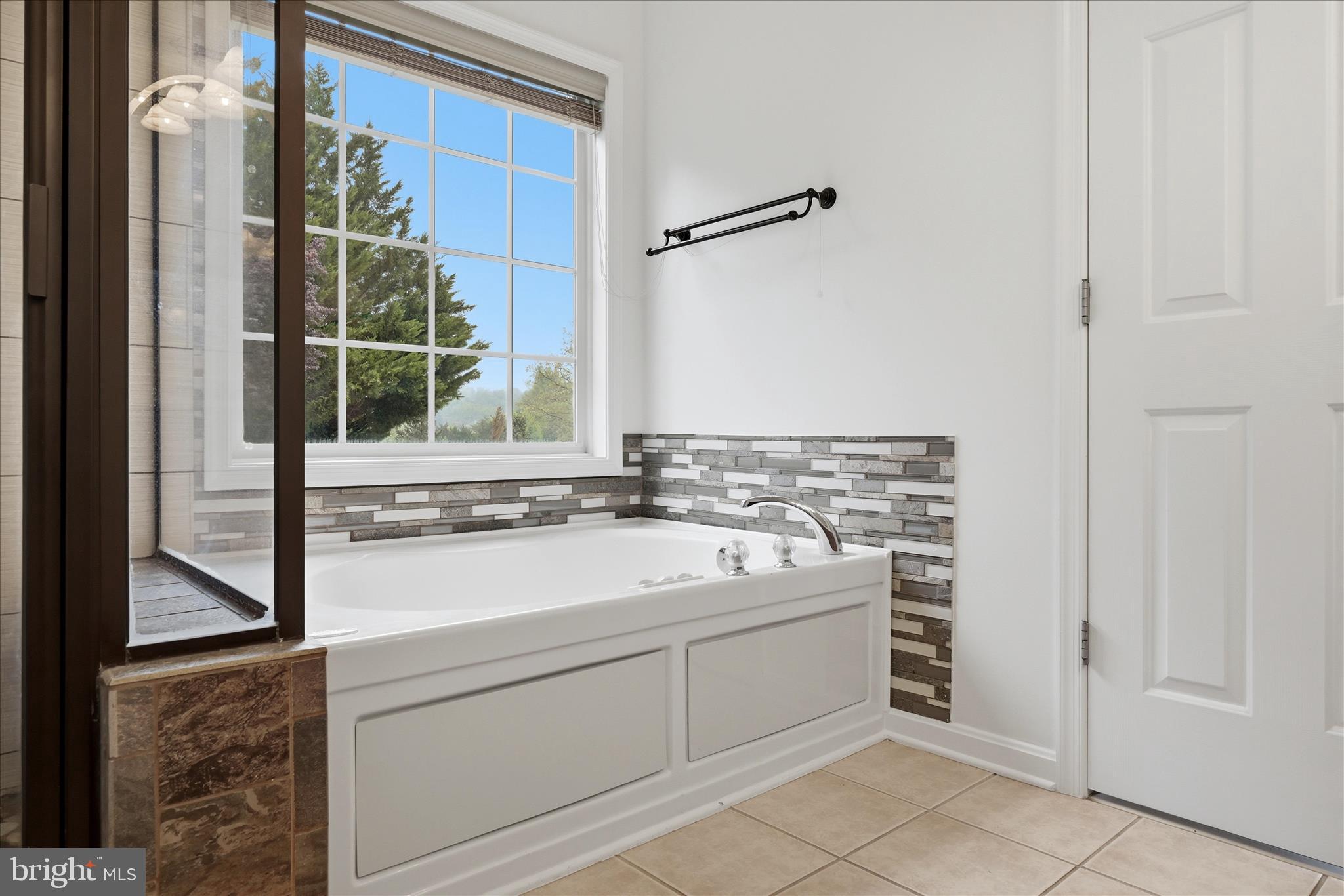 101 Putter Place Cross Junction, VA 22625 - Photo 17 of 46 Primary Bathroom with Jetted Tub