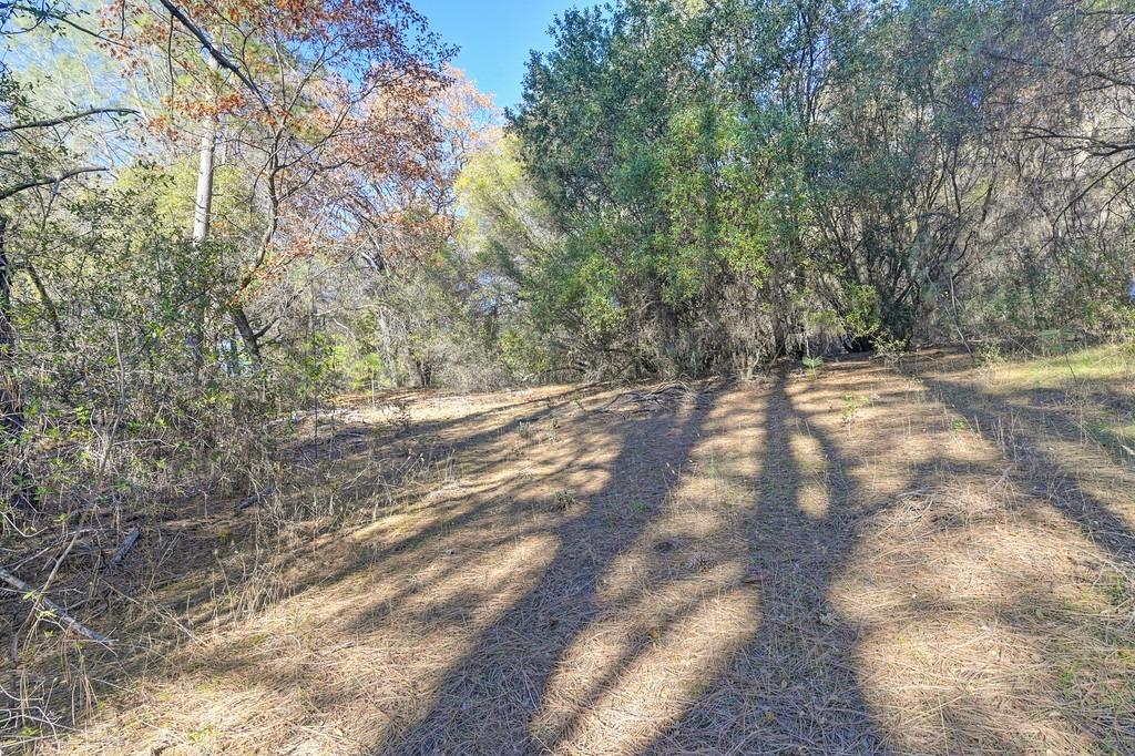23050 Retherford Road Auburn, CA 95602 - Photo 10 of 39 a view of empty yard with trees