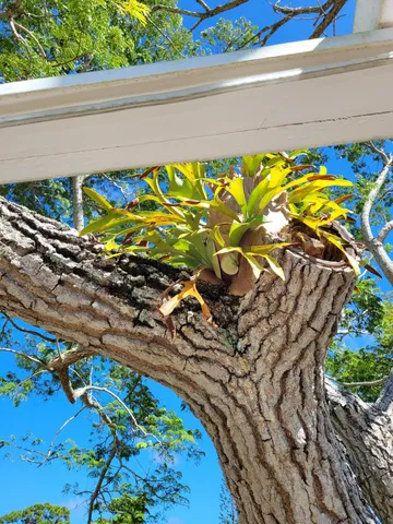 $214,900 | 2950 Southeast Ocean Boulevard, Unit 1345, Stuart, FL 34996