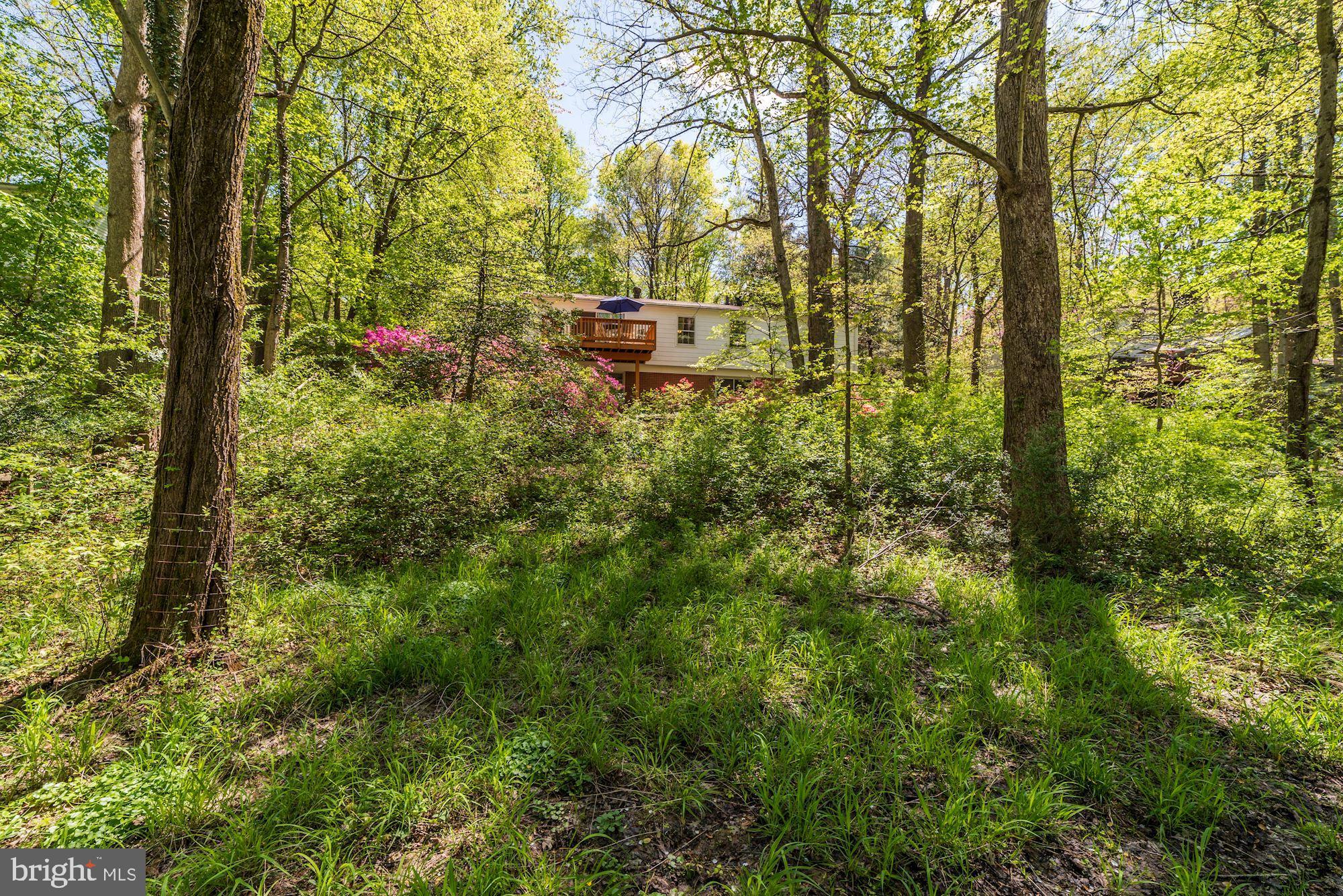 11310 Myrtle Lane Reston, VA 20191 - Photo 37 of 42 a view of yard with green space