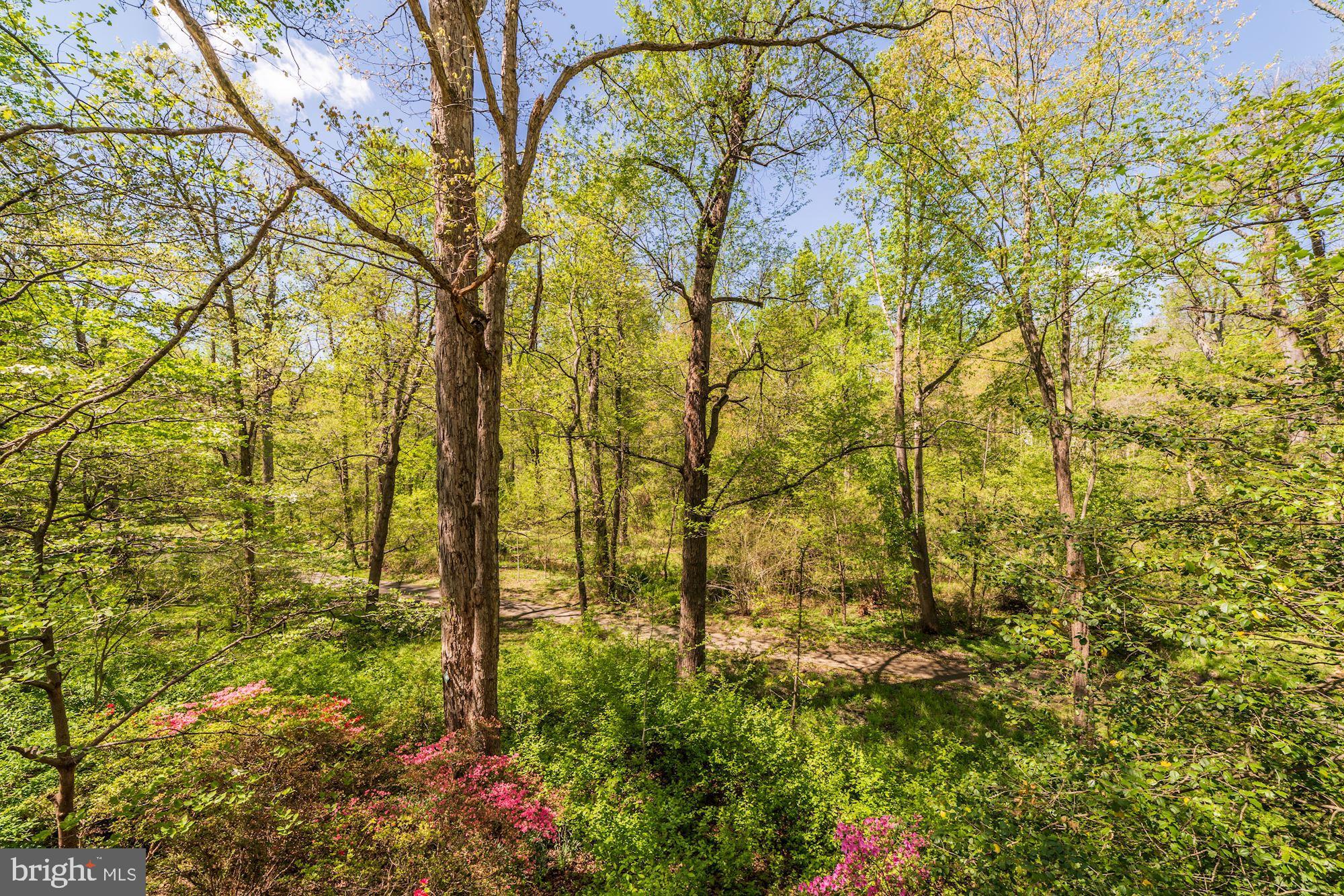 11310 Myrtle Lane Reston, VA 20191 - Photo 39 of 42 a view of yard