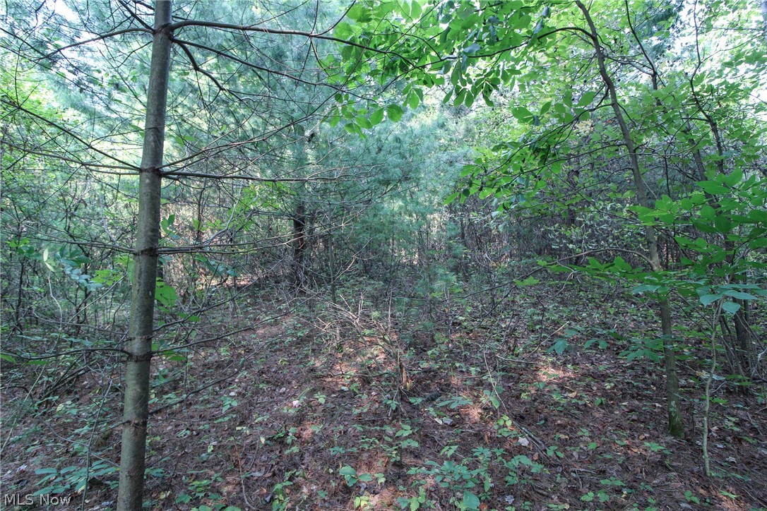 44012 West Union Road Sardis, OH 43946 - Photo 22 of 30 Gallery Image 22