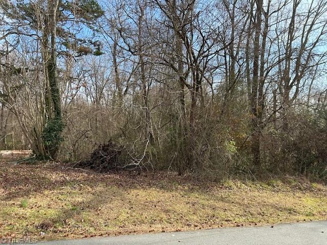 0 Grey Oaks Road Trinity, NC 27370 - Photo 3 of 3
