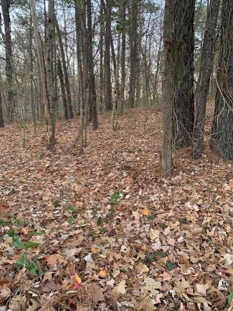 0 Rockbridge Road Southwest Norcross, GA 30093 - Photo 1 of 1 a view of empty space with trees