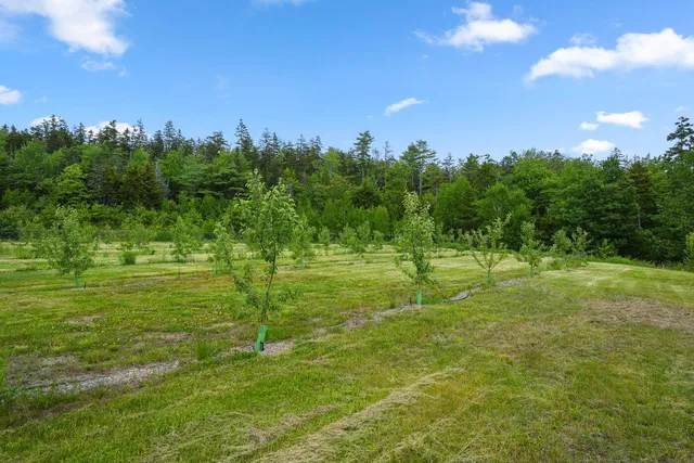 $2,500,000 | Lot 50-2 Serene Drive, Northport, ME 04849