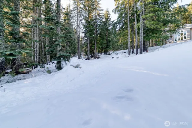 a view of a area with trees in the background