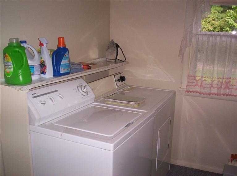 225 Brown Road Southwest Stanton, MI 48888 - Photo 13 of 14 Additional Photo