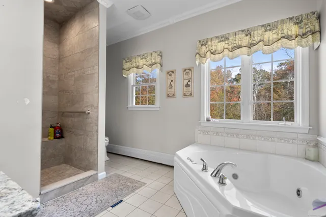 a bathroom with a bathtub and a shower