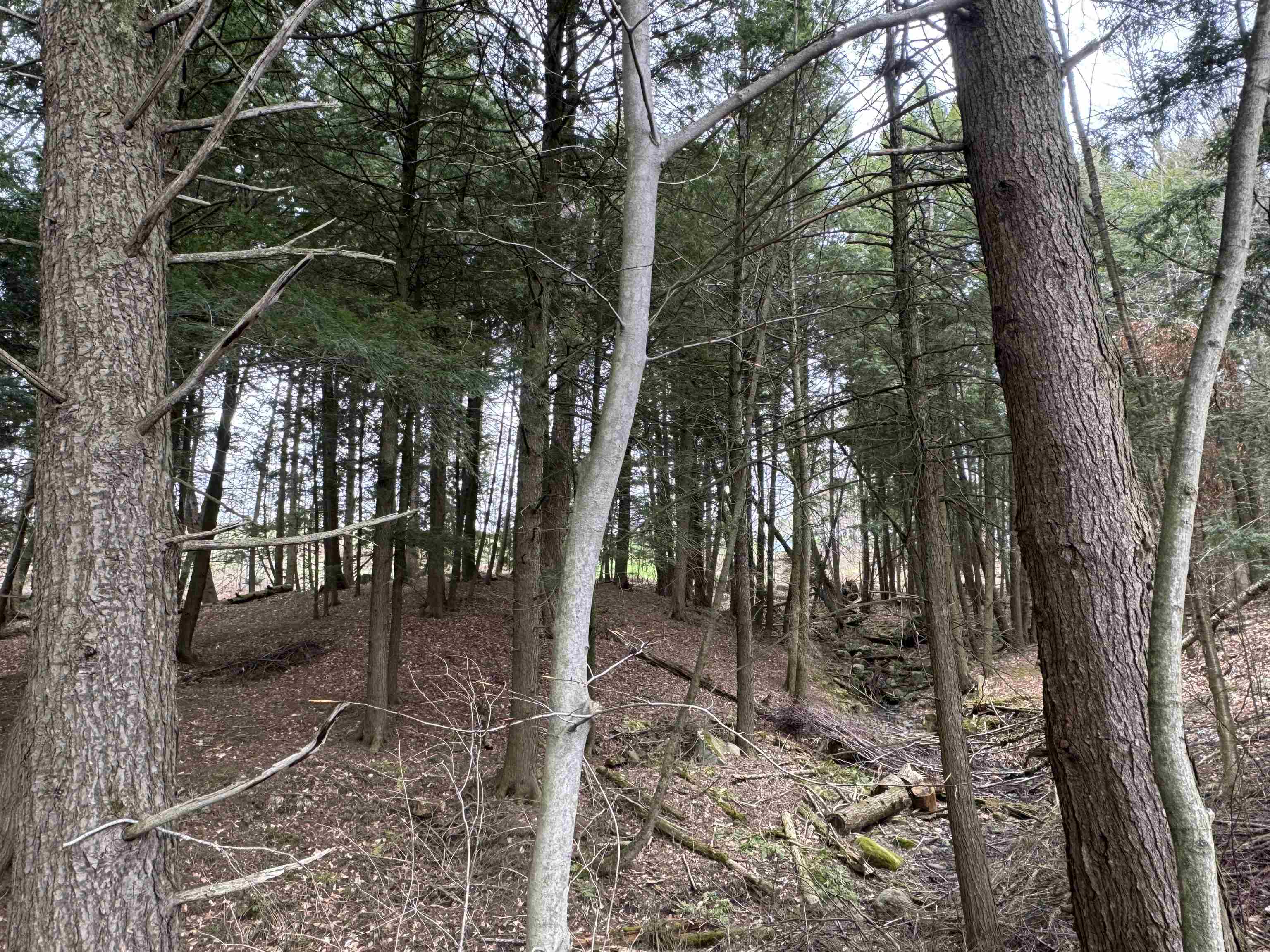 69 Missionary Acres Road Derby, VT 05855 - Photo 25 of 29