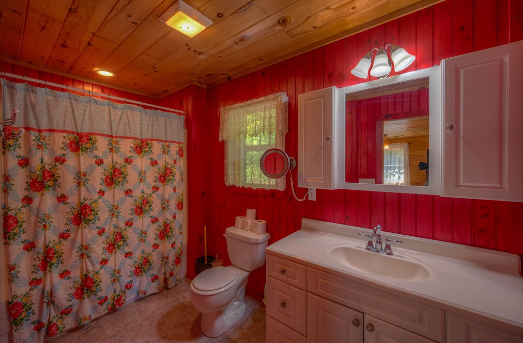 920 McDonald Road Murphy, NC 28906 - Photo 21 of 40 a bathroom with a toilet sink and mirror
