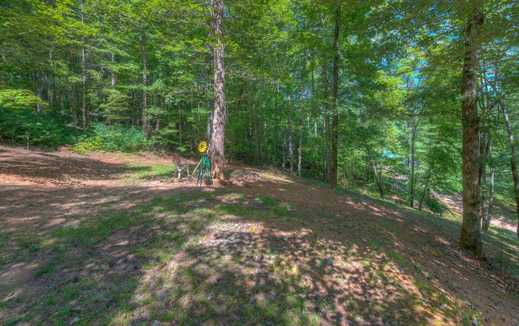 920 McDonald Road Murphy, NC 28906 - Photo 38 of 40 a view of outdoor space with trees all around