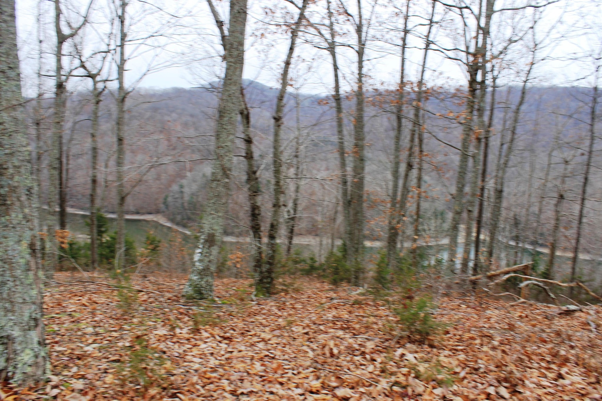 2 Cornerstone Pkwy Point Allons, TN 38541 - Photo 5 of 13