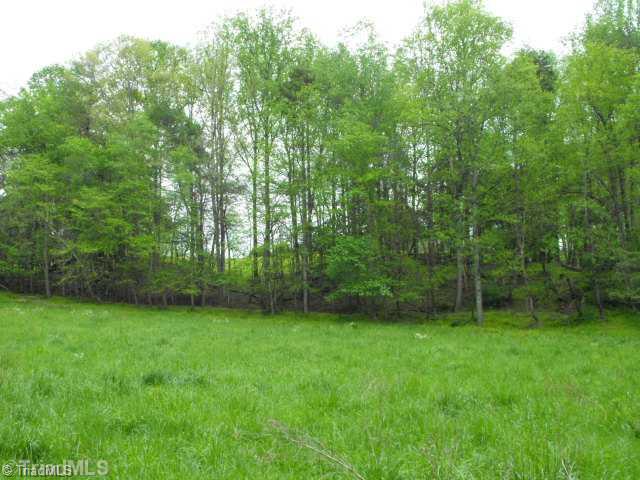 2158 Luffman Road Ronda, NC 28670 - Photo 5 of 12 Land. Good Pastures and Big Timber