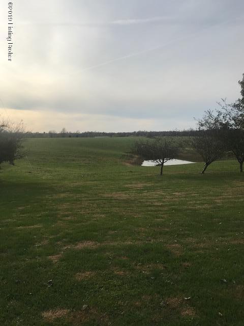 3771 Springfield Road Bloomfield, KY 40008 - Photo 6 of 8 IMG_7530