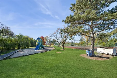 a view of a park with large trees