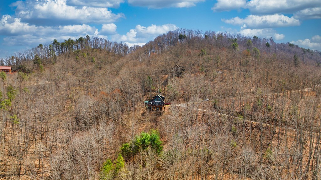 729 Canterbury Road Murphy, NC 28906 - Photo 49 of 49