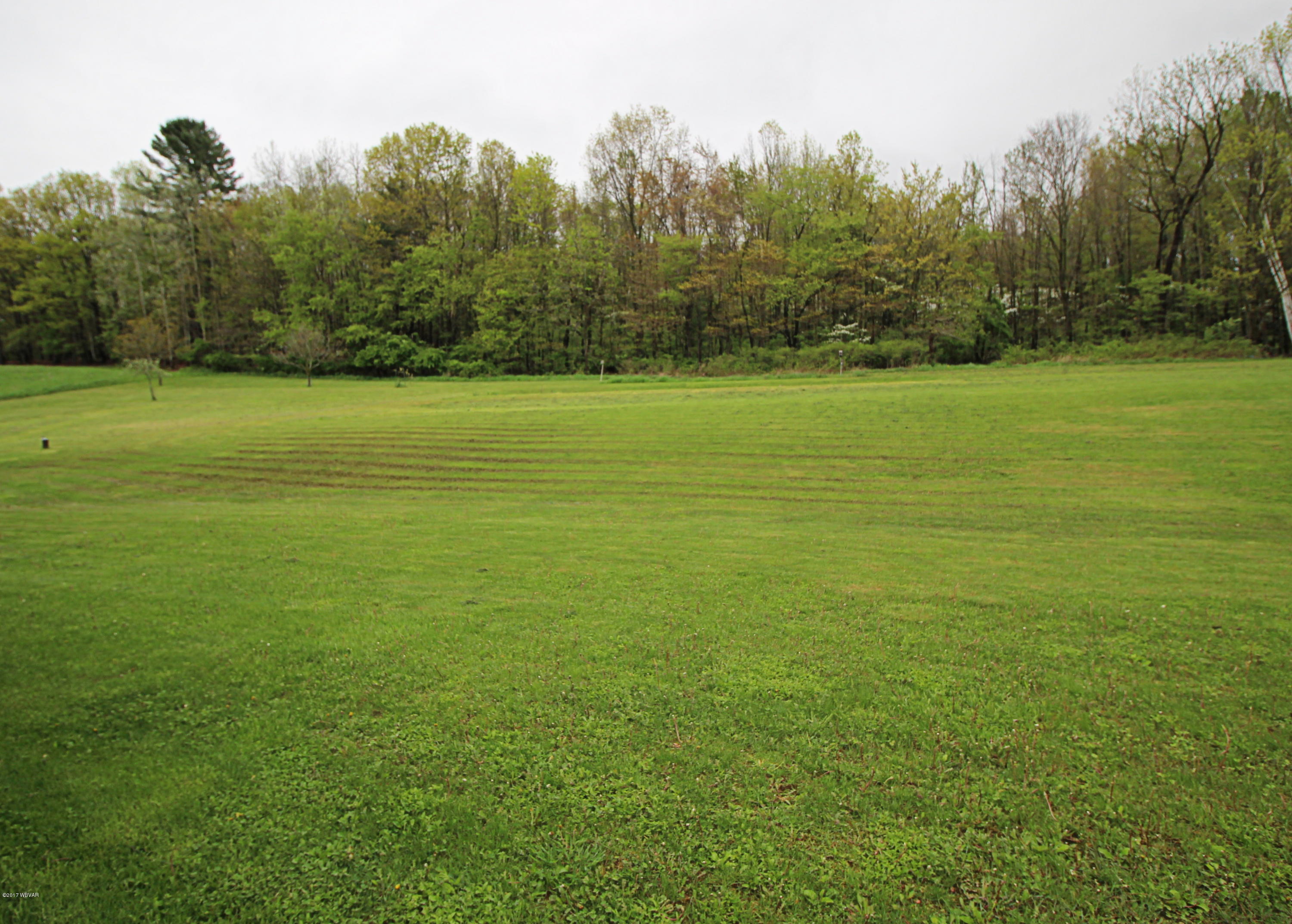 2516 Lick Run Road Williamsport, PA 17701 - Photo 10 of 13 LickRun-RearYard