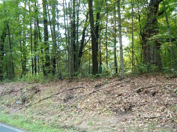 Lot 4 Leverett Road Amherst, MA 01002 - Photo 1 of 2
