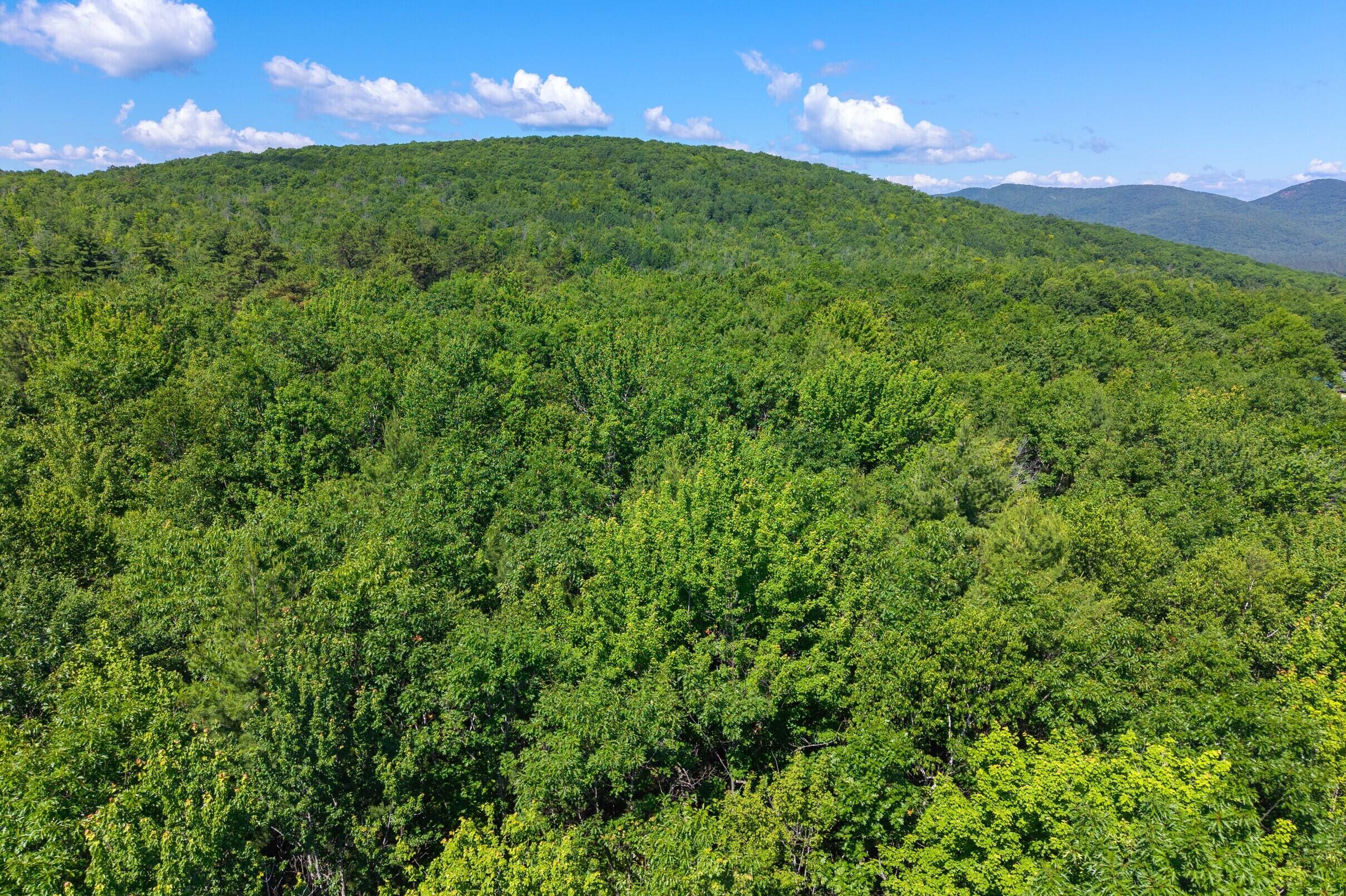 0 Hiram Hill Road Hiram, ME 04041 - Photo 11 of 13 9-Lot-9-073A-Hiram-Hill-Rd-9