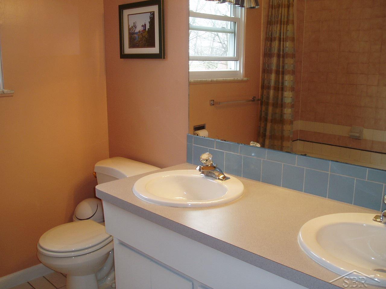 9935 Dice Road Freeland, MI 48623 - Photo 6 of 14 31288204-5.JPG