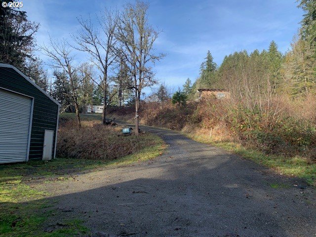 1424 Cavitt Creek Road Glide, OR 97443 - Photo 6 of 16 a view of a yard with a tree
