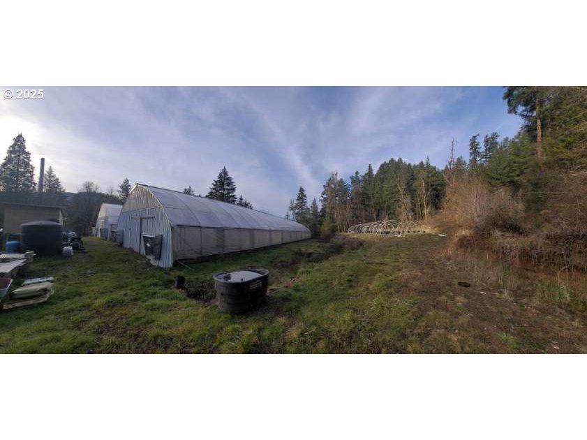 1424 Cavitt Creek Road Glide, OR 97443 - Photo 10 of 16 a backyard of a house with lots of green space