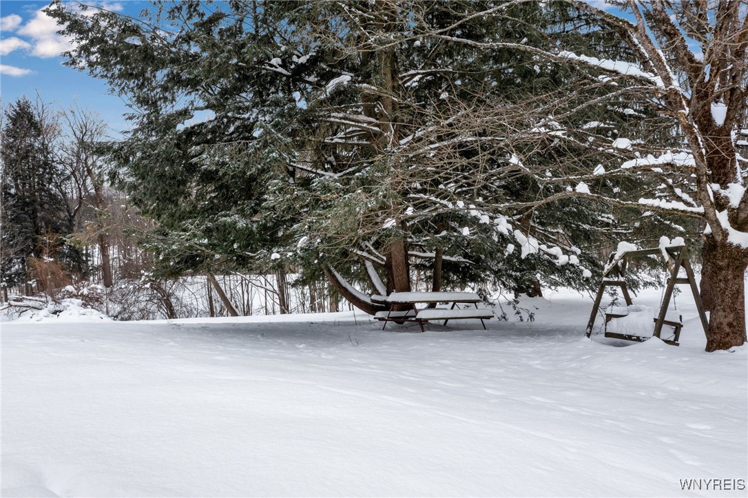 12298 Townsend Road Concord, NY 14141 - Photo 30 of 37 Park-like setting and pond in the background