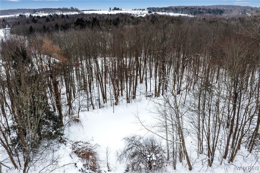 12298 Townsend Road Concord, NY 14141 - Photo 31 of 37 Pond for ice skating