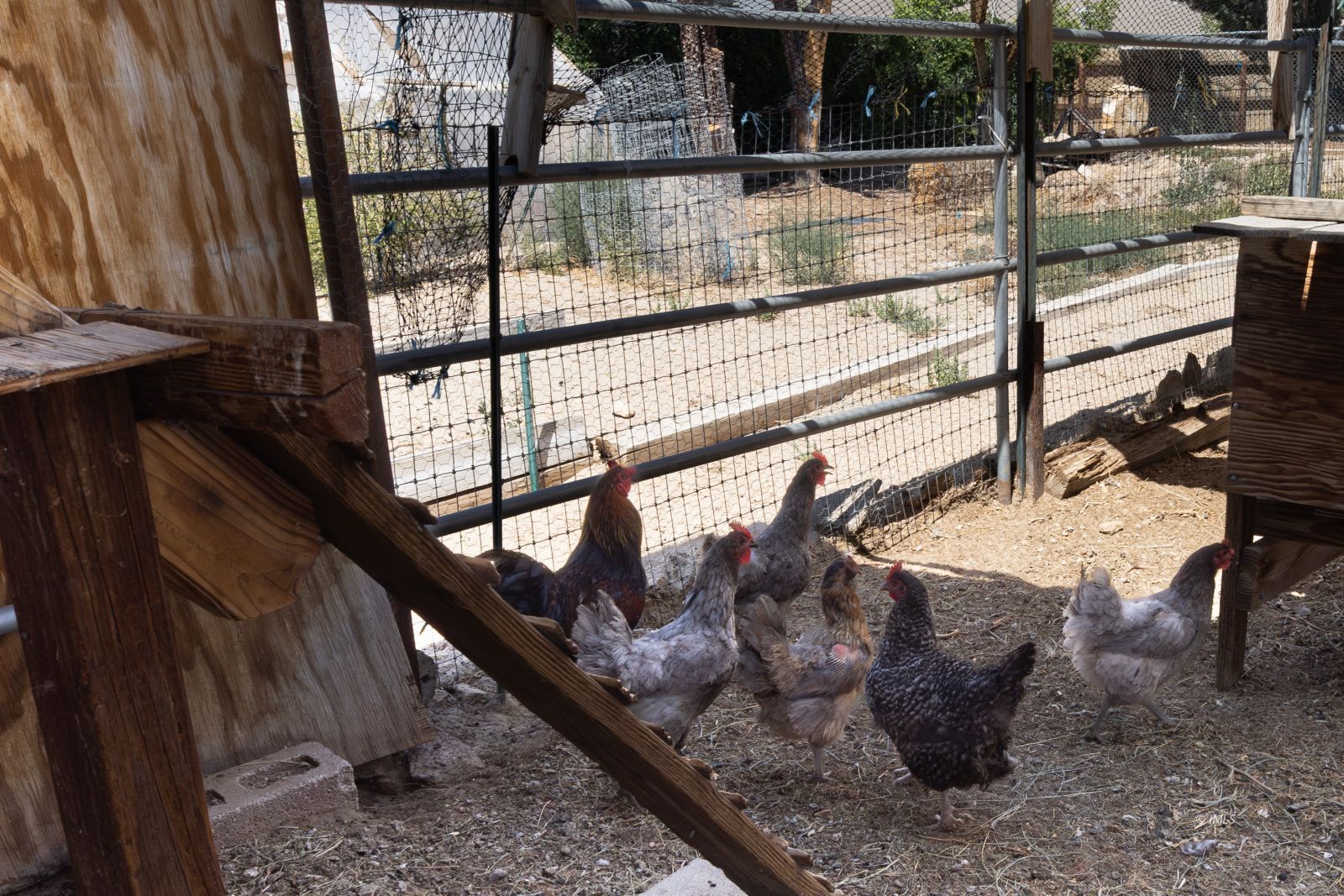 95 Mountain View Avenue Bishop, CA 93514 - Photo 24 of 35 a view of swimming pool with outdoor seating