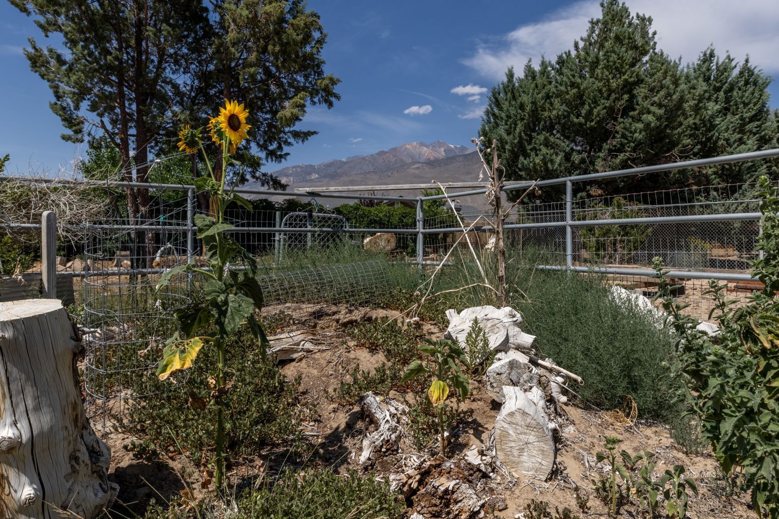 95 Mountain View Avenue Bishop, CA 93514 - Photo 25 of 35 a body of water with a tree in the background