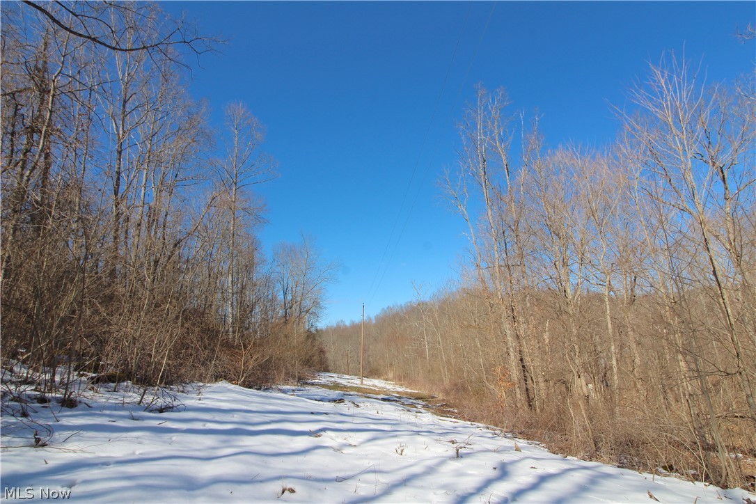 1770 Coon Run Road Lower Salem, OH 45745 - Photo 27 of 30 Gallery Image 27