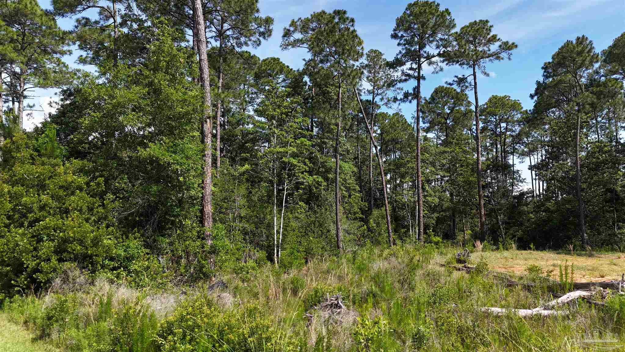 Lot 7 Sunset Bayou Drive Milton, FL 32583 - Photo 11 of 19 a view of a yard