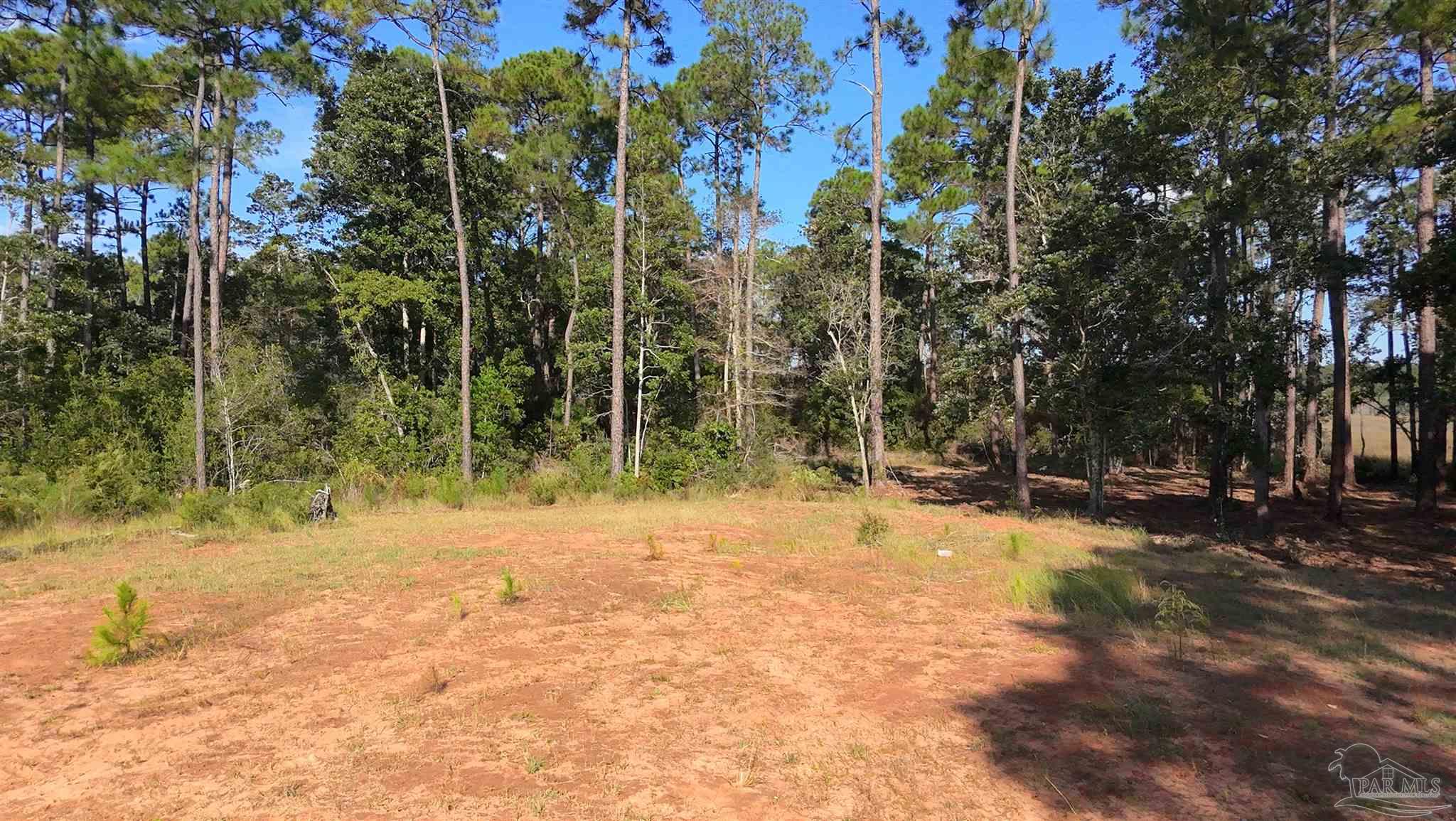 Lot 7 Sunset Bayou Drive Milton, FL 32583 - Photo 14 of 19 a view of a yard with trees