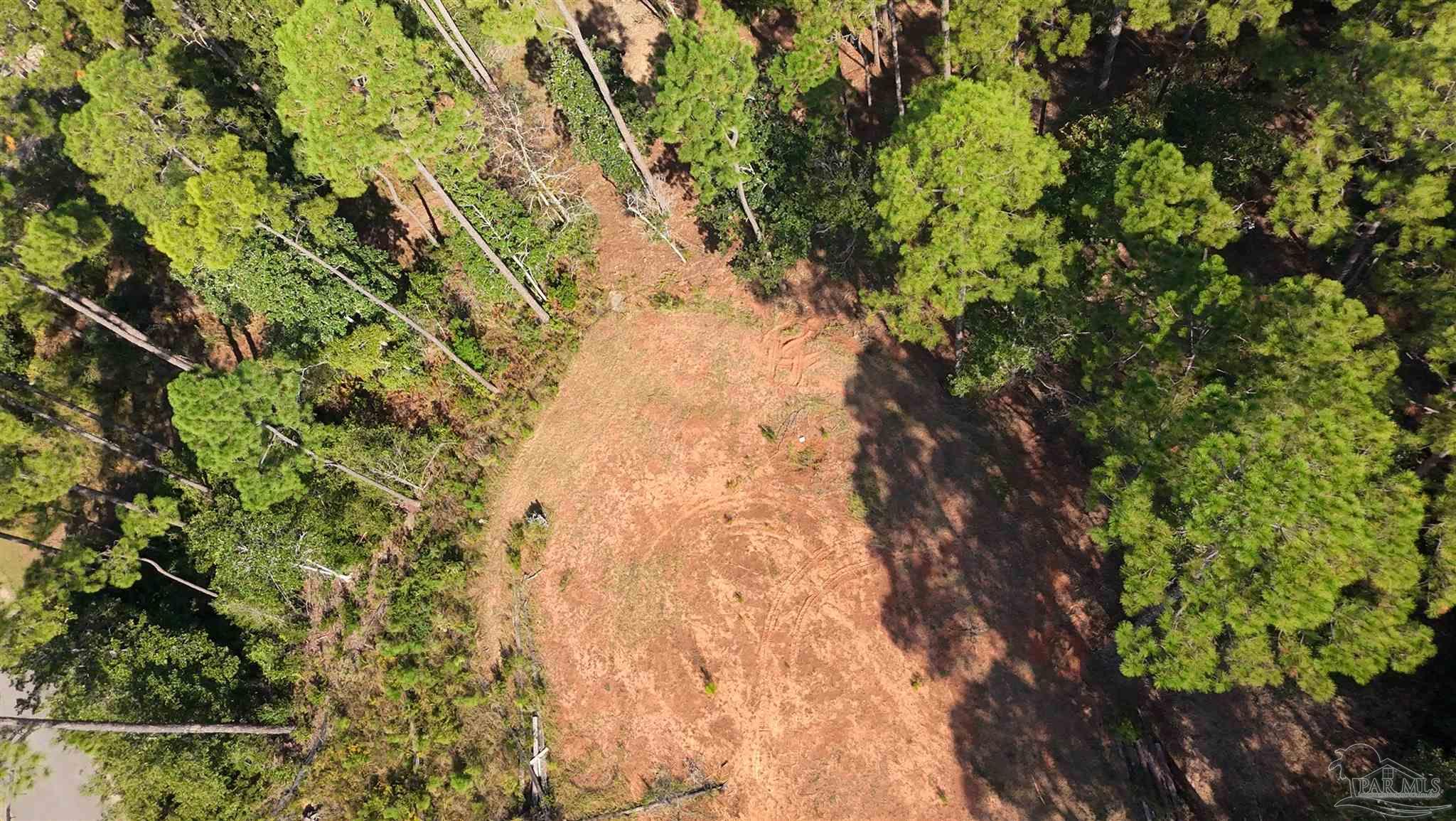 Lot 7 Sunset Bayou Drive Milton, FL 32583 - Photo 15 of 19 a backyard of a house with lots of green space