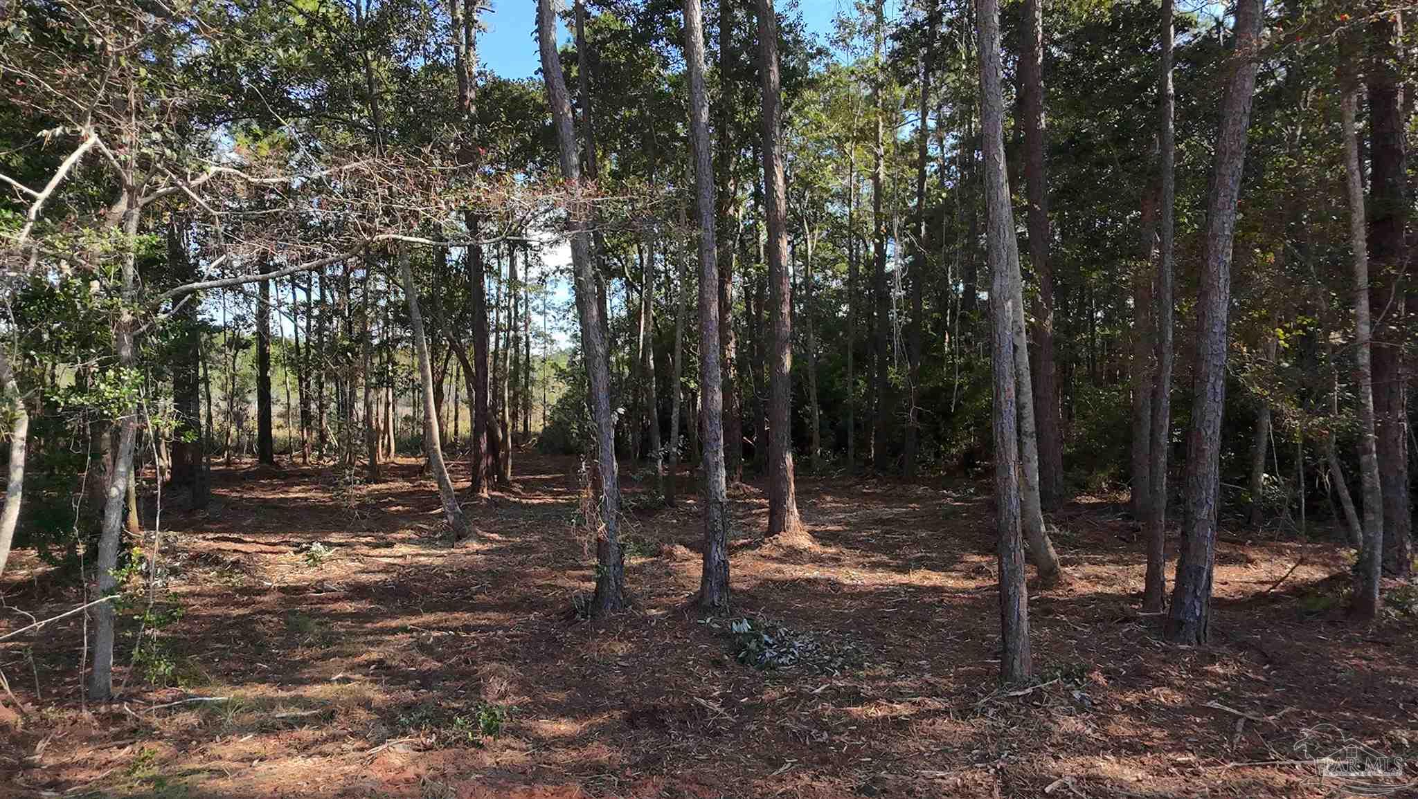 Lot 7 Sunset Bayou Drive Milton, FL 32583 - Photo 17 of 19 a view of a forest with trees