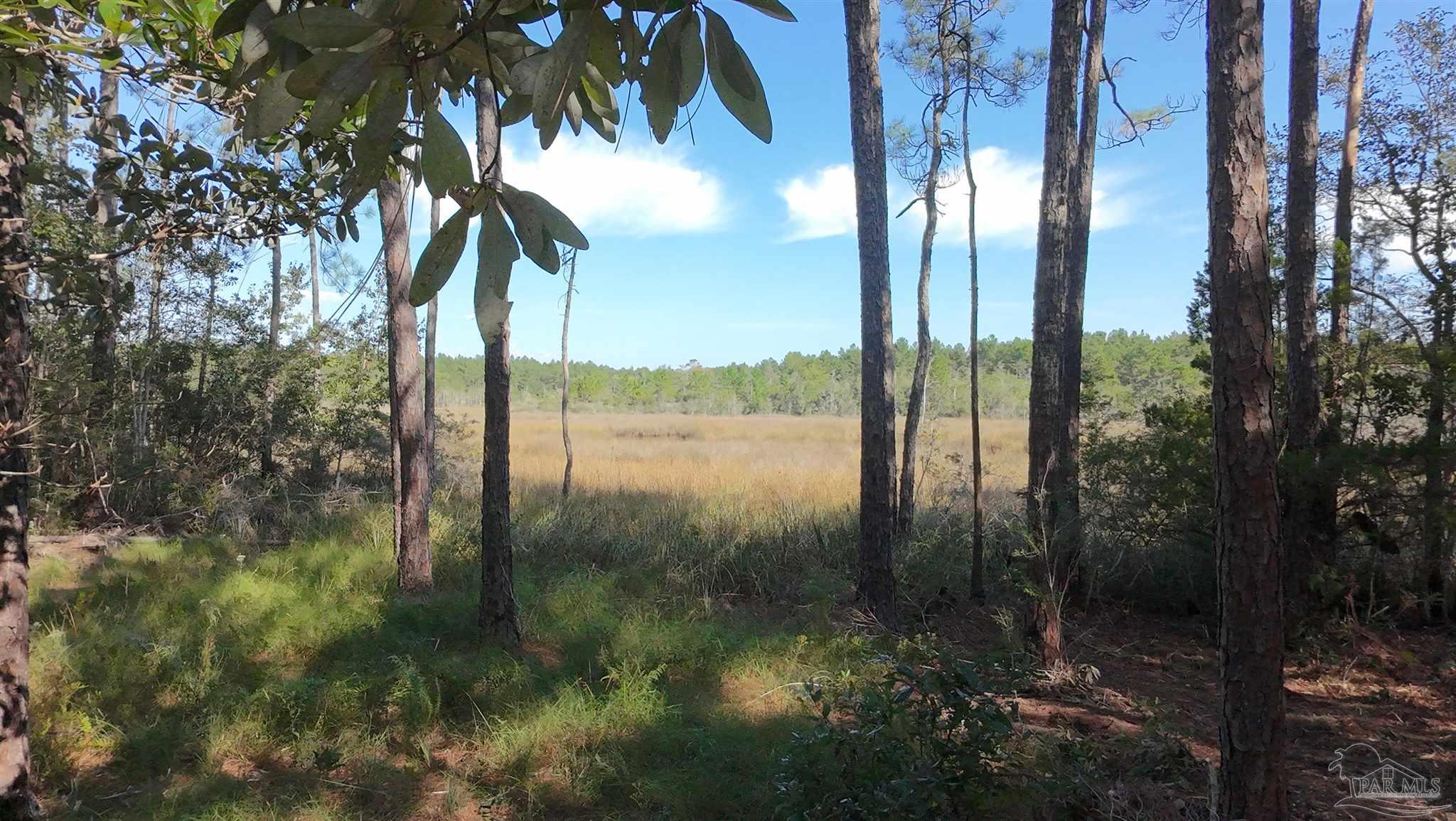Lot 7 Sunset Bayou Drive Milton, FL 32583 - Photo 18 of 19 a view of lake
