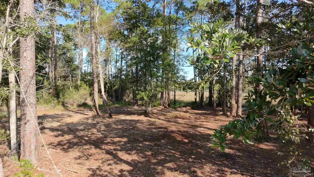 $69,500 | Lot 7 Sunset Bayou Drive, Milton, FL 32583