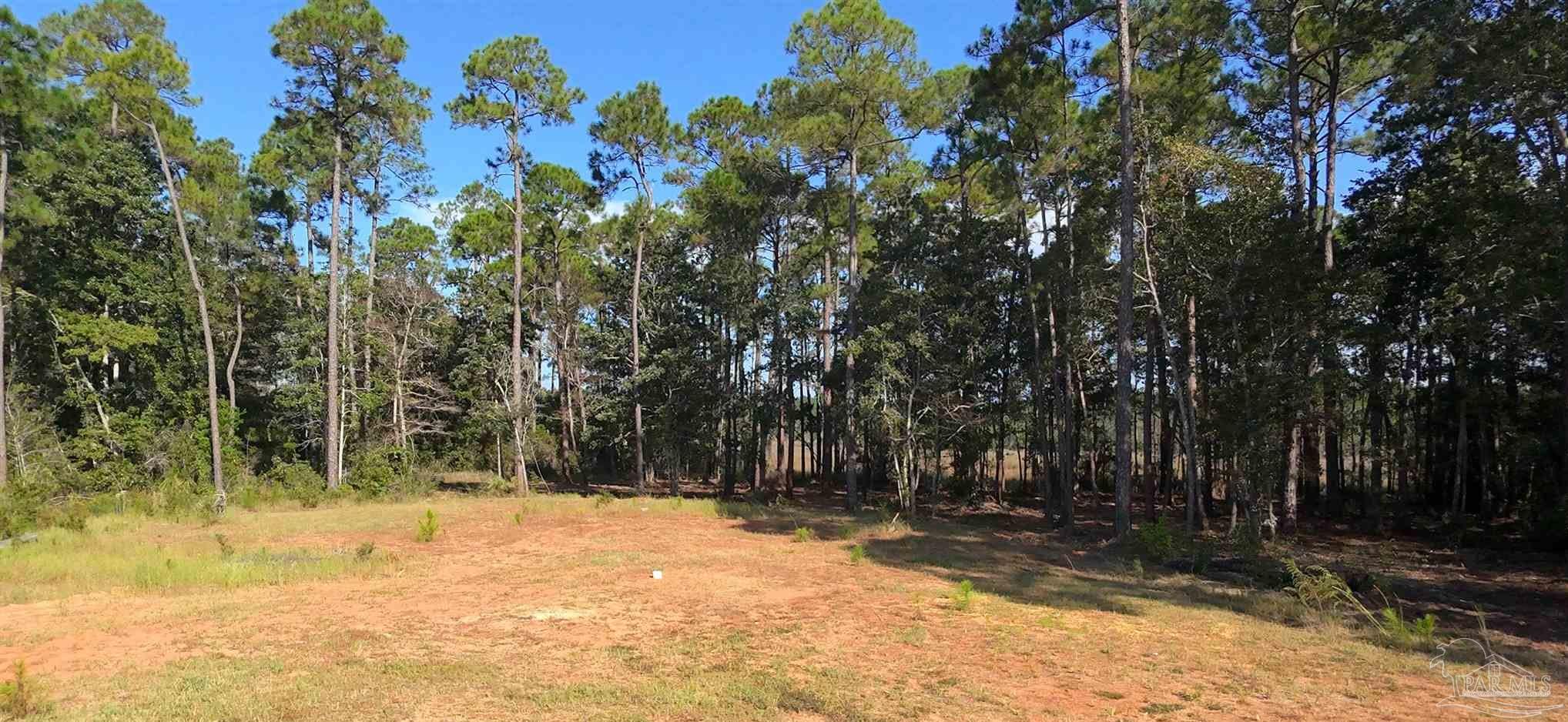 Lot 7 Sunset Bayou Drive Milton, FL 32583 - Photo 5 of 19 a view of a yard with plants and trees