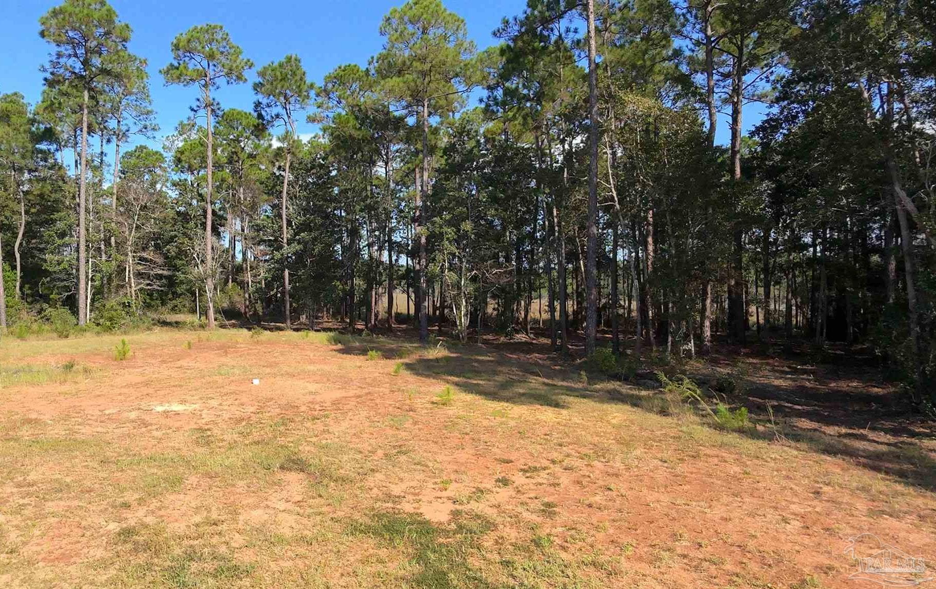 Lot 7 Sunset Bayou Drive Milton, FL 32583 - Photo 6 of 19 a view of a yard with trees