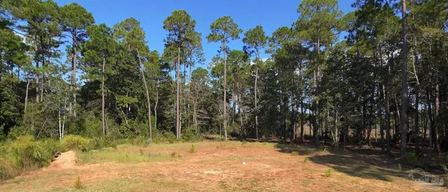 an aerial view of a houses with outdoor space