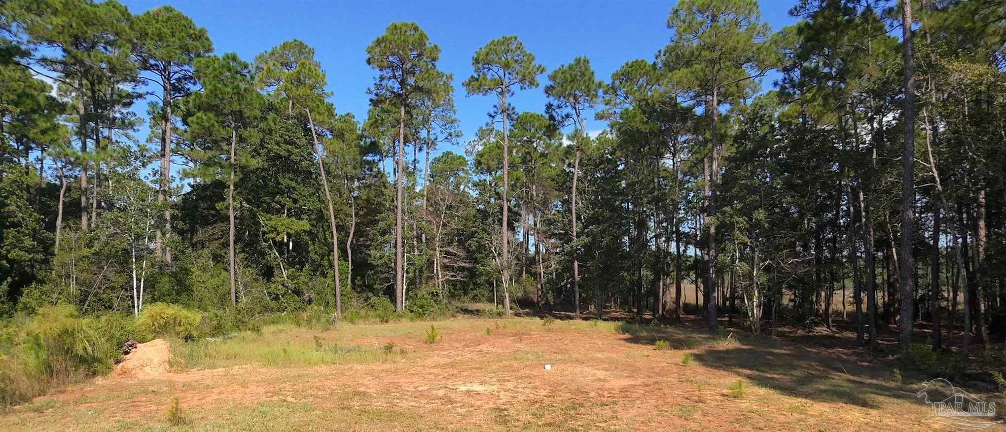 Lot 7 Sunset Bayou Drive Milton, FL 32583 - Photo 7 of 19 a view of a yard with a tree