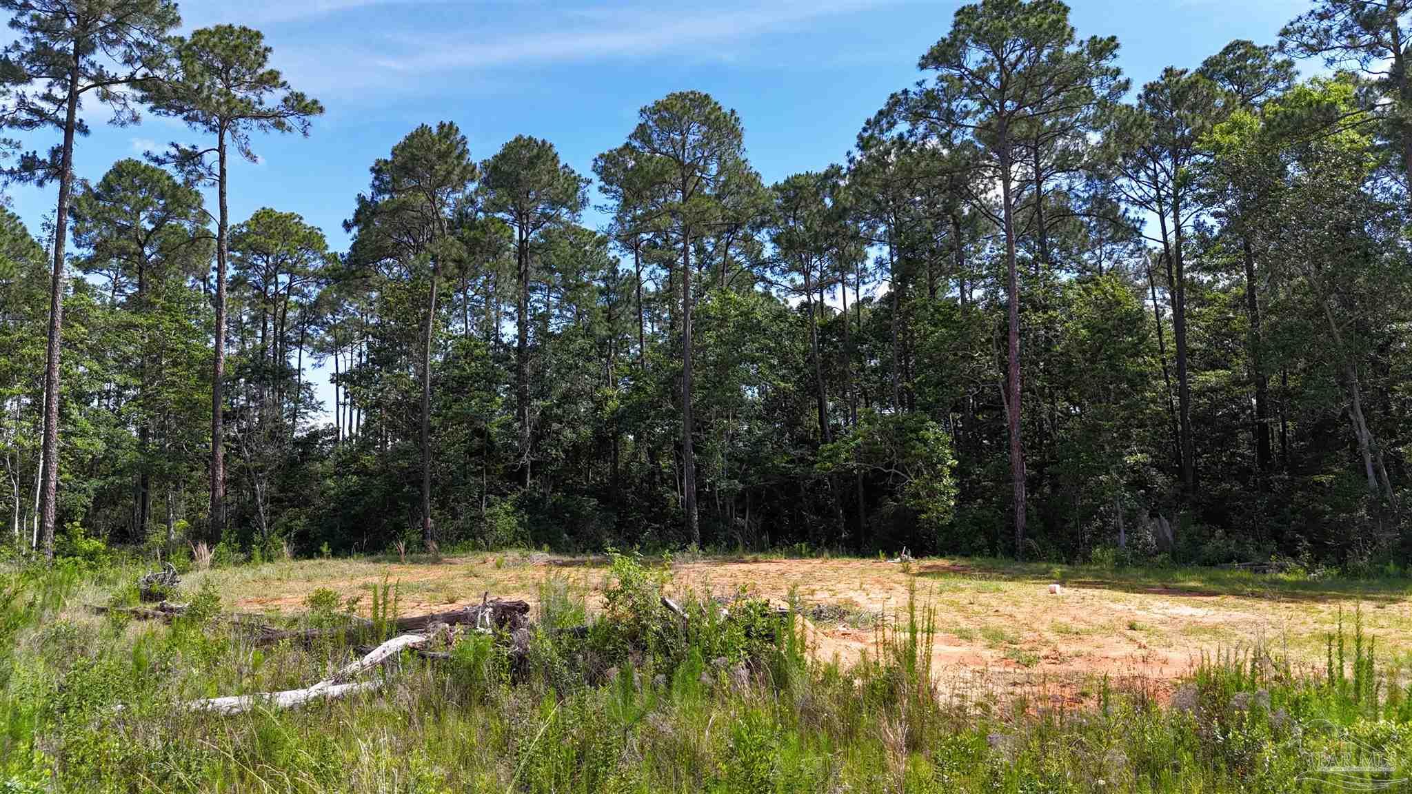 Lot 7 Sunset Bayou Drive Milton, FL 32583 - Photo 9 of 19 a view of a yard