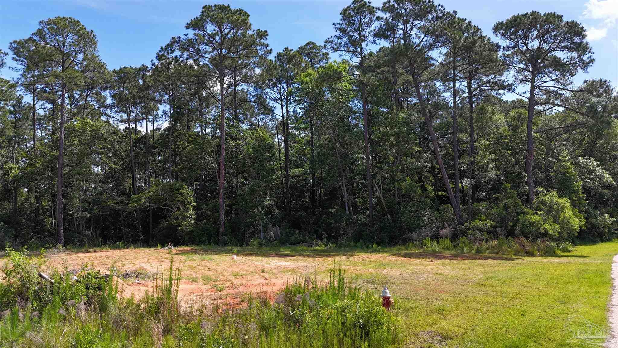 Lot 7 Sunset Bayou Drive Milton, FL 32583 - Photo 10 of 19 a view of a yard