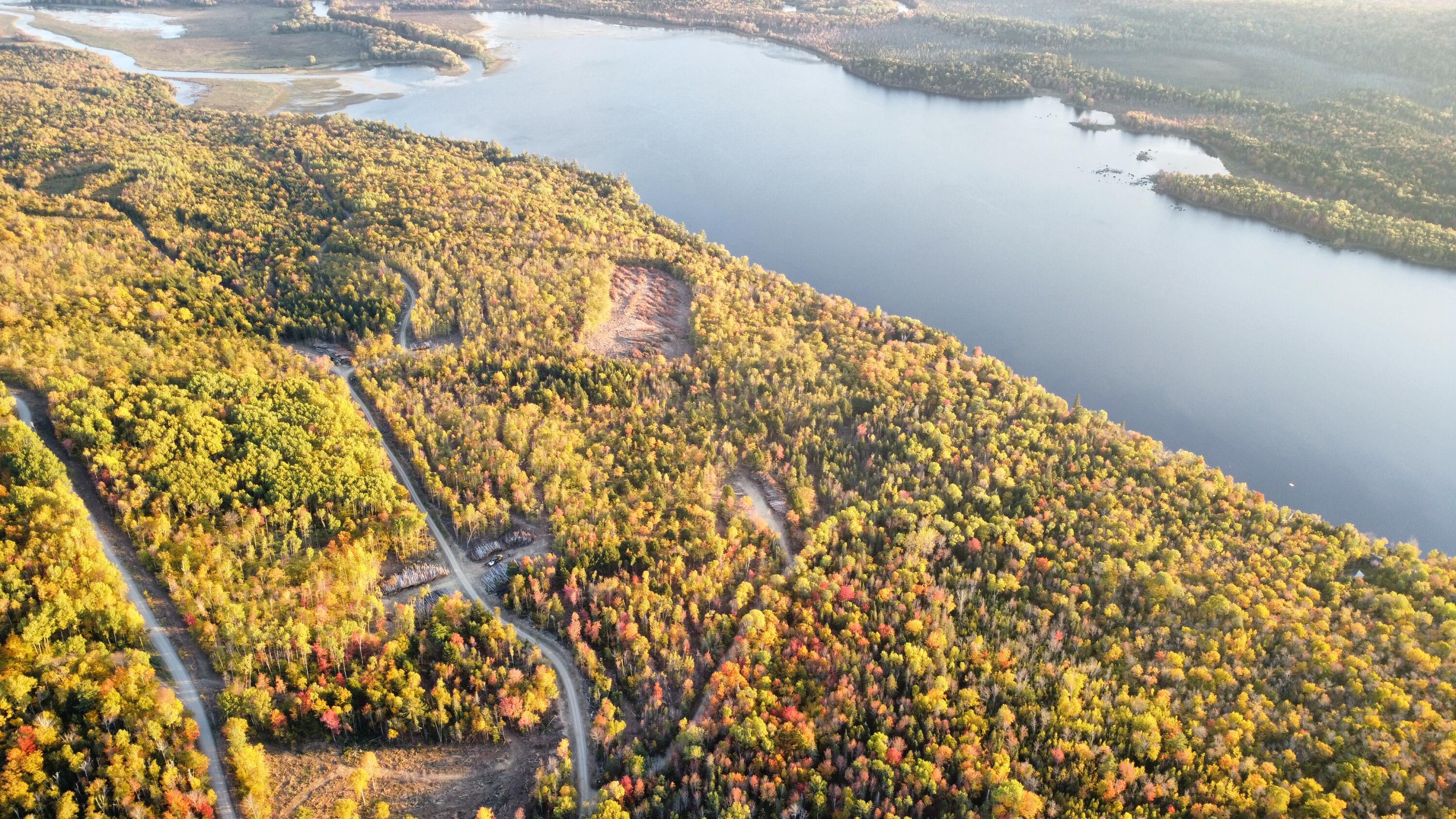 Lot B Dow Farm Road Island Falls, ME 04747 - Photo 11 of 25 dji_fly_20251004_174144_364_175961412586