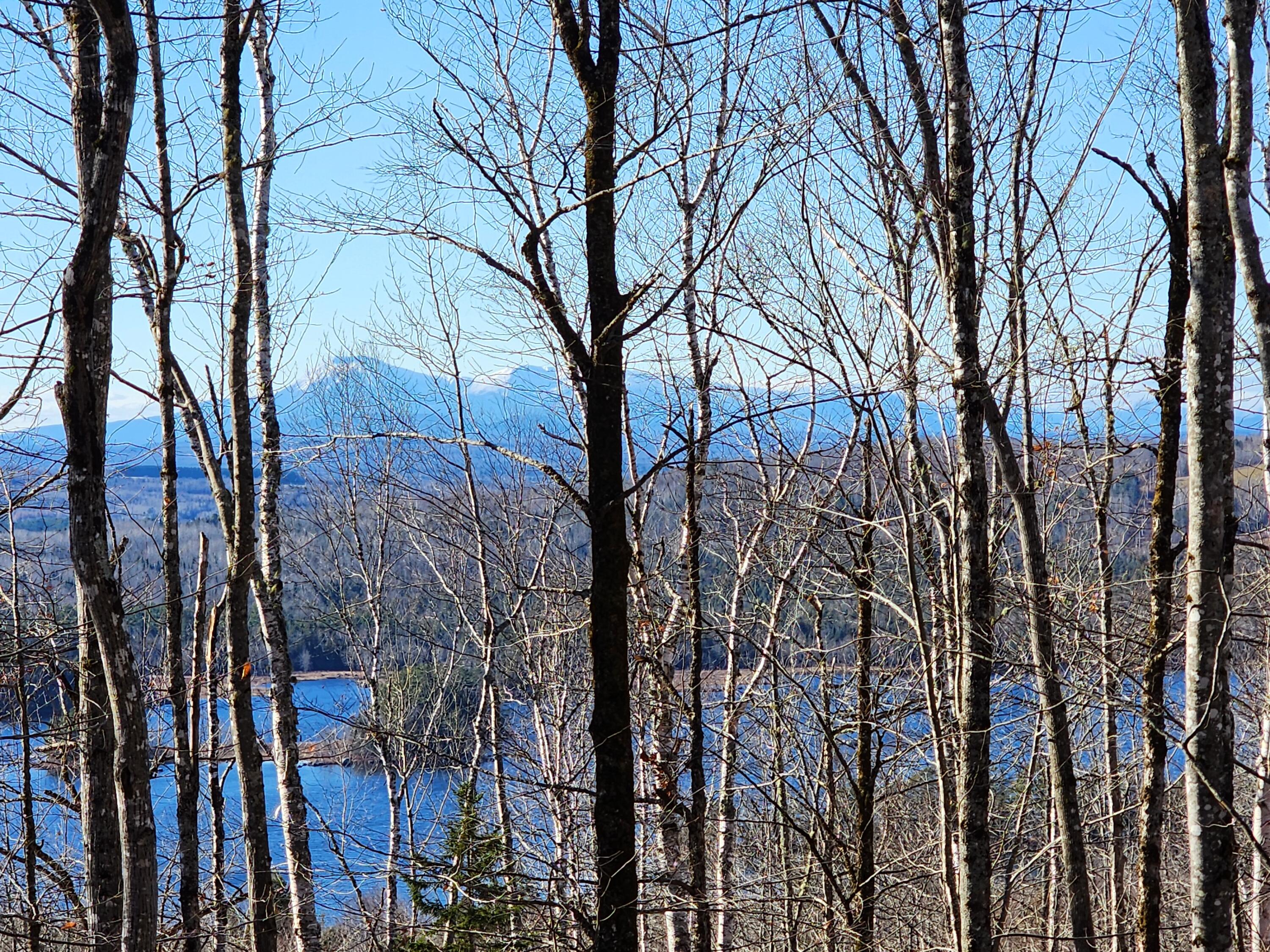 Lot B Dow Farm Road Island Falls, ME 04747 - Photo 20 of 25 20251115_120605
