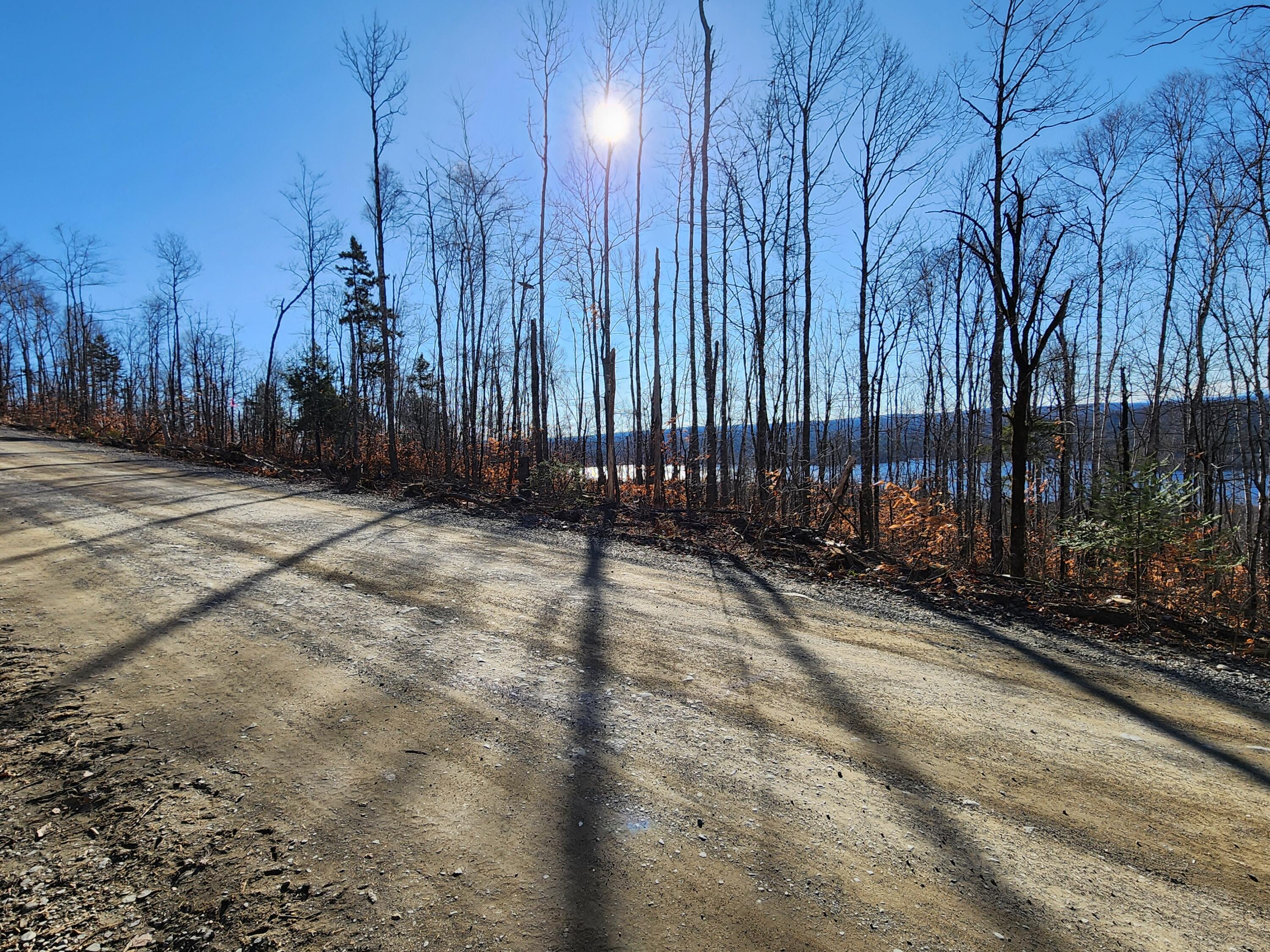 Lot B Dow Farm Road Island Falls, ME 04747 - Photo 24 of 25 20251115_120630