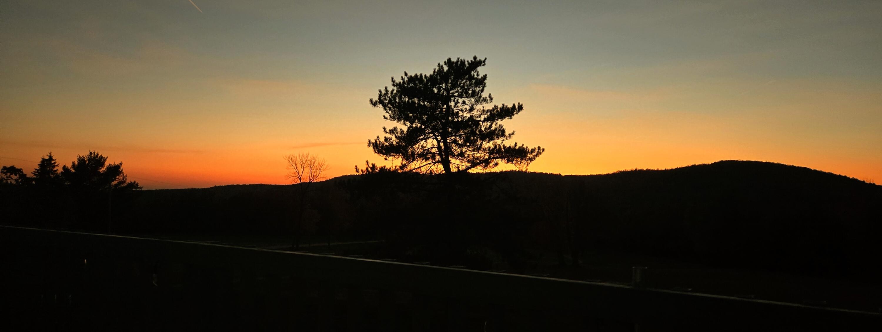 Lot B Dow Farm Road Island Falls, ME 04747 - Photo 7 of 25 20251005_183718~2