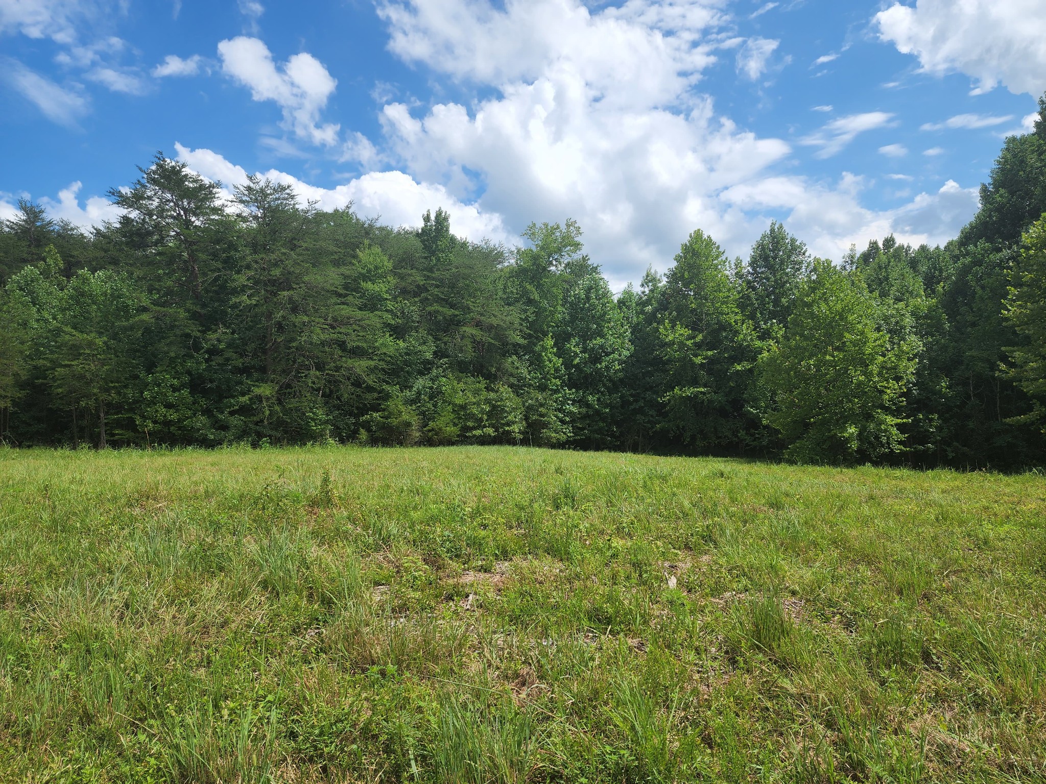 12 A Old Kentucky Road Walling, TN 38587 - Photo 29 of 35 Gallery Image 29