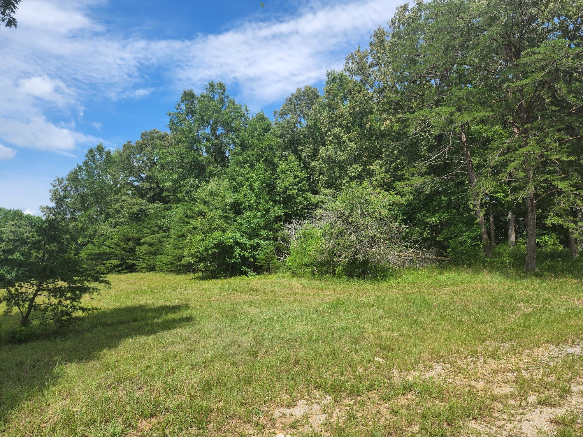 12 A Old Kentucky Road Walling, TN 38587 - Photo 3 of 35 Gallery Image 3